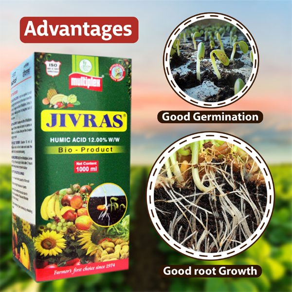 Jivras