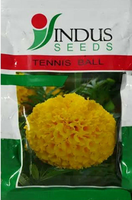 TENNIS BALL F1 HYBRID MARIGOLD SEEDS INDUS