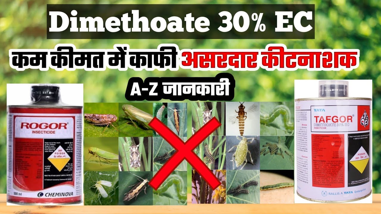 Rogor 1L Insecticide FMC