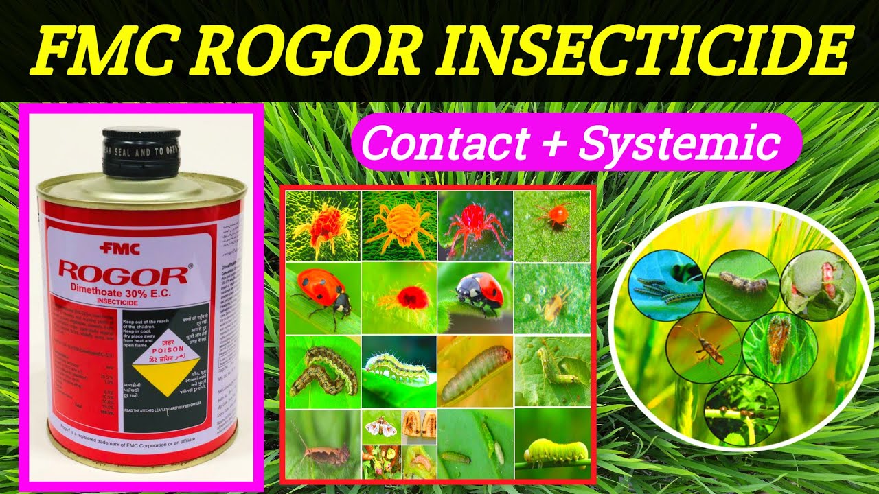 Rogor 1L Insecticide FMC