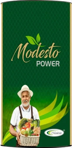 Modesto Power Plant Growth