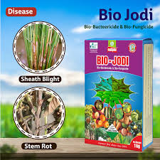 BIO-JODI FUNGICIDE MULTIPLEX