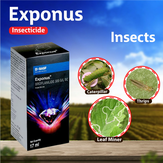 BASF EXPONUS