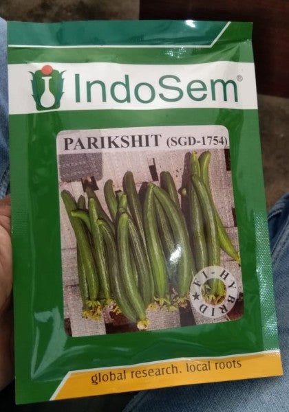 Sponge Gourd IndoSem Parikshit