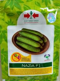 Nazia F1 Cucumber East West