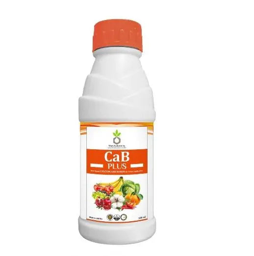 Cab Plus